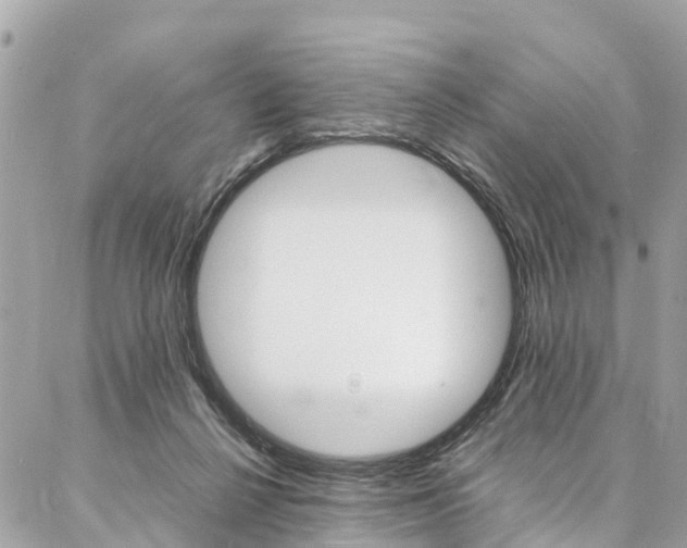 X0000086890264200704161013