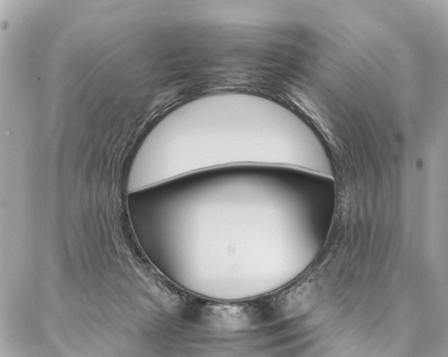 X0000086890265200704161013