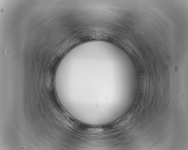 X0000086890266200704161013