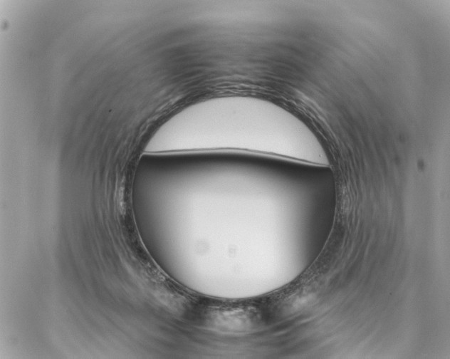 X0000086890267200704161013