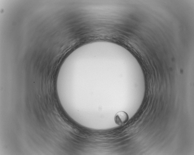 X0000086890268200704161013