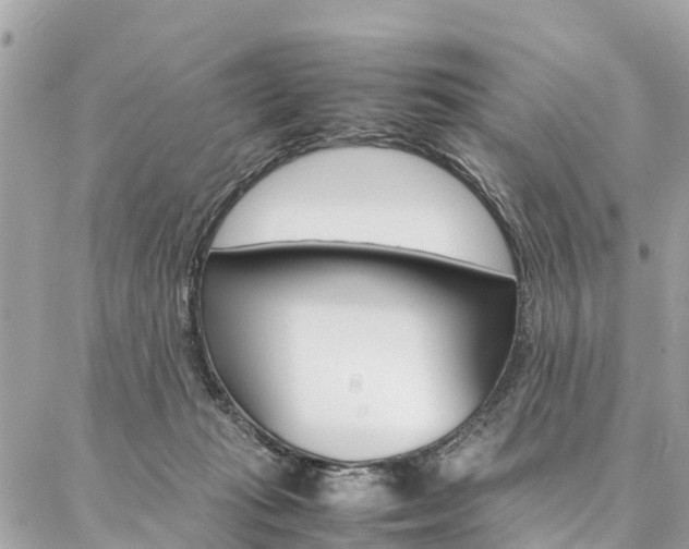 X0000086890269200704161013