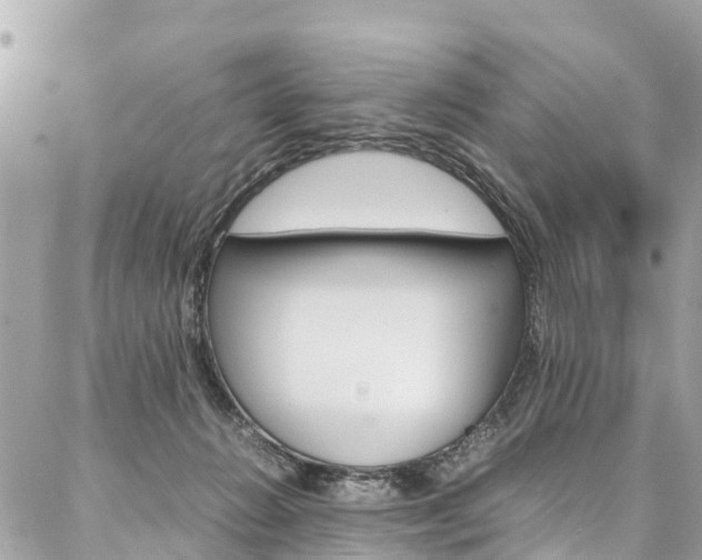 X0000086890270200704161013