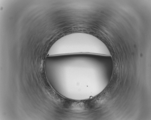 X0000086890271200704161013