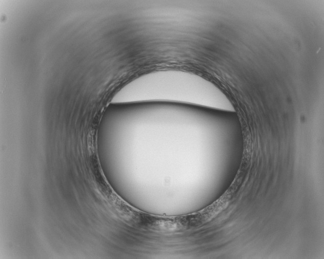 X0000086890272200704161013