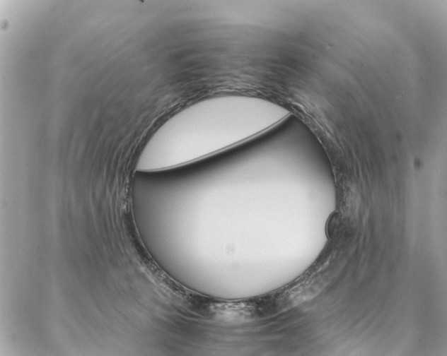 X0000086890273200704161013