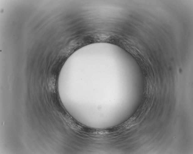 X0000086890274200704161013