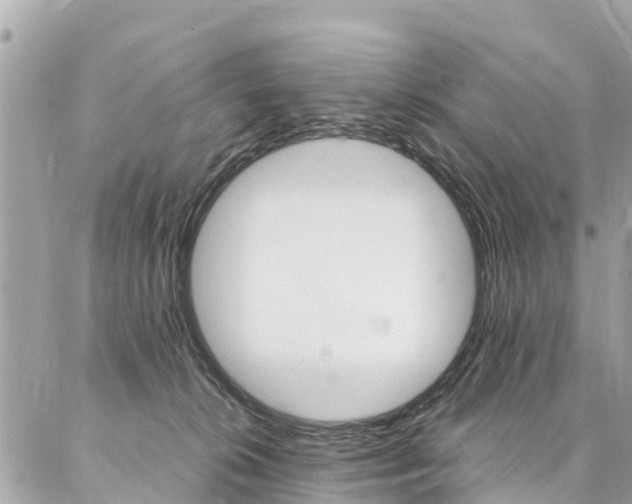 X0000086890276200704161013