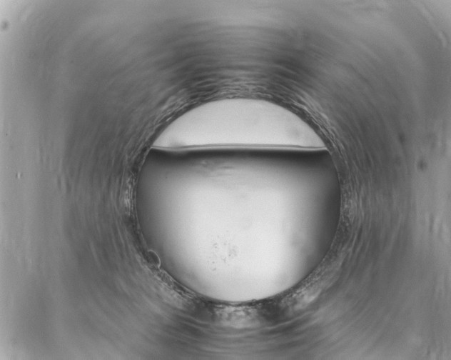 X0000086890277200704161013