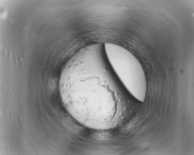 X0000086890278200704161013