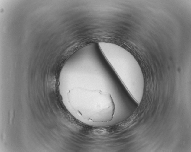 X0000086890279200704161013