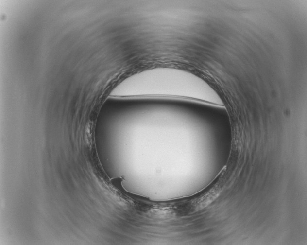 X0000086890280200704161013