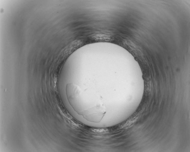 X0000086890281200704161013