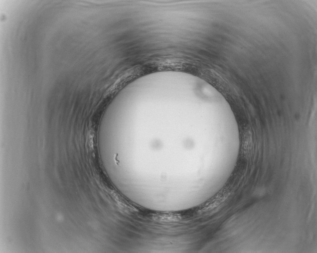 X0000086890282200704161013