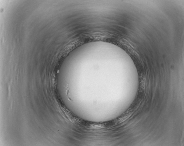 X0000086890283200704161013