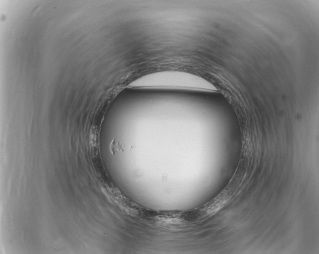 X0000086890284200704161013