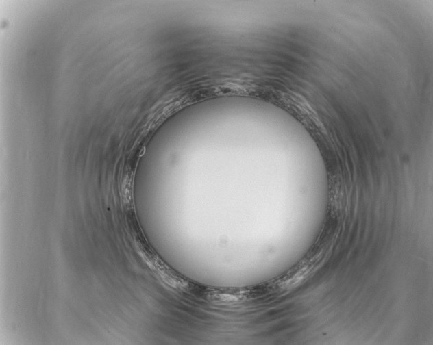 X0000086890285200704161013