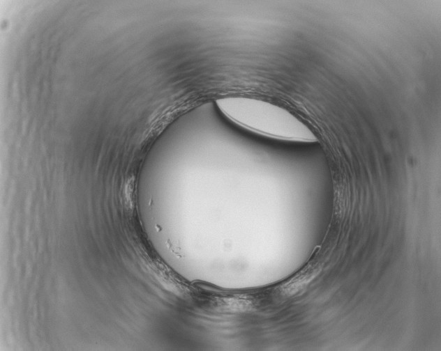 X0000086890286200704161014