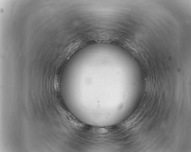 X0000086890287200704161014