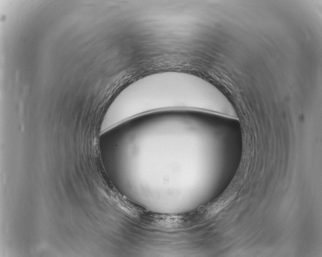 X0000086890288200704161014