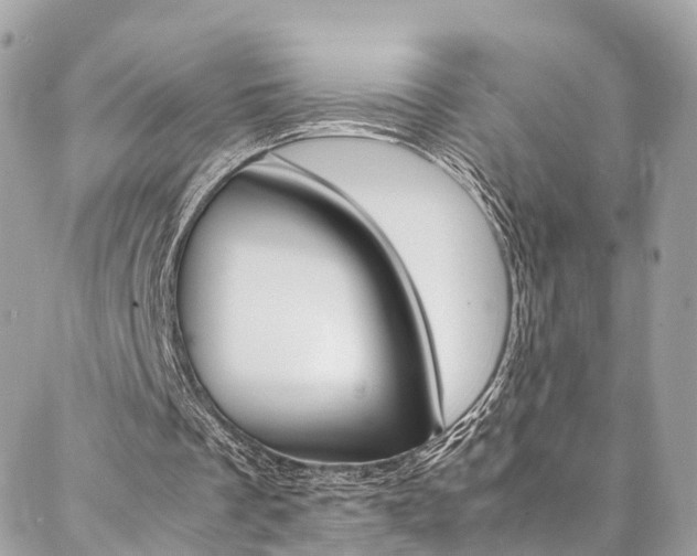 X0000086890289200704161013