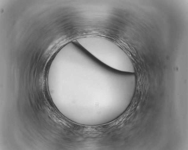 X0000086890290200704161013