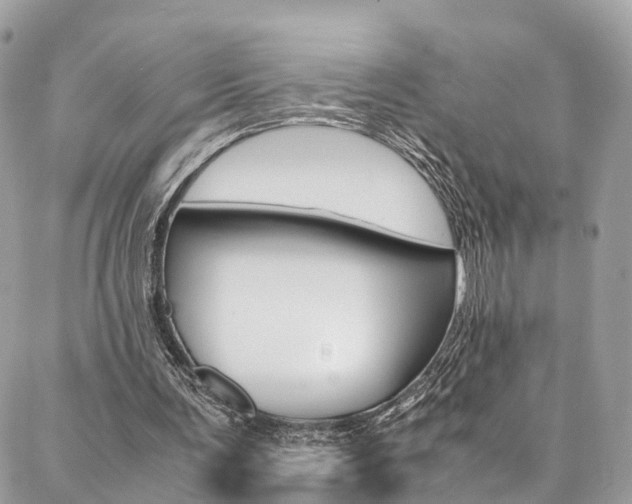 X0000086890291200704161013