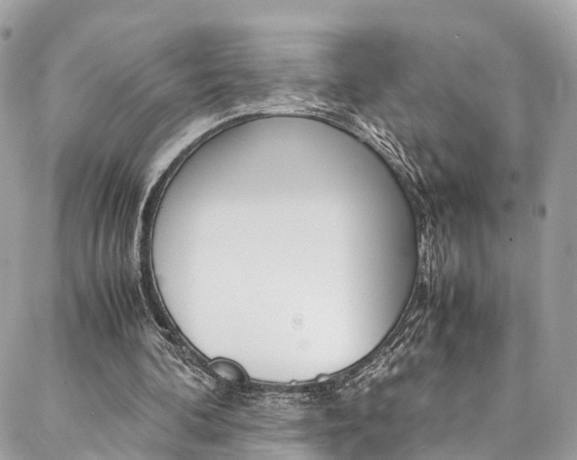 X0000086890292200704161013