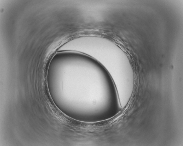 X0000086890293200704161013