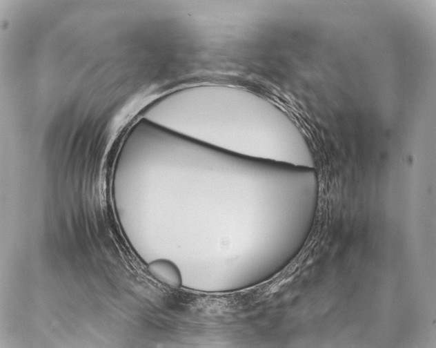 X0000086890294200704161013