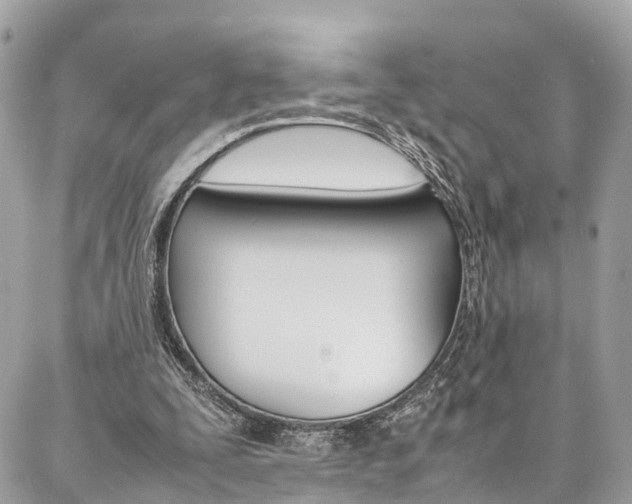 X0000086890295200704161013