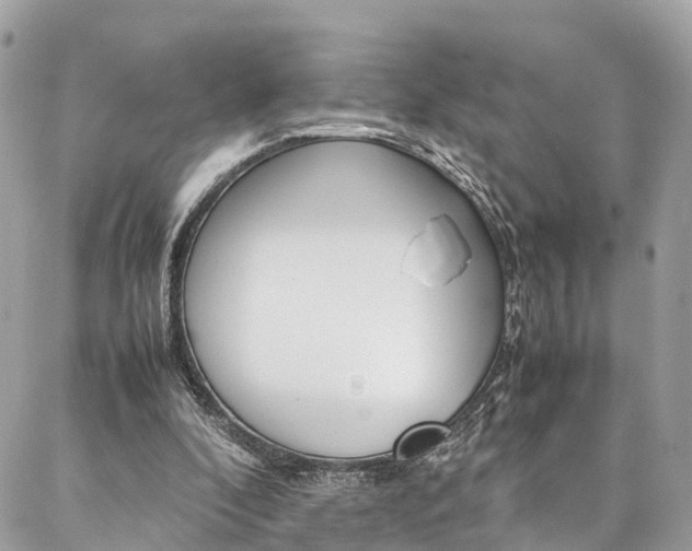 X0000086890296200704161013