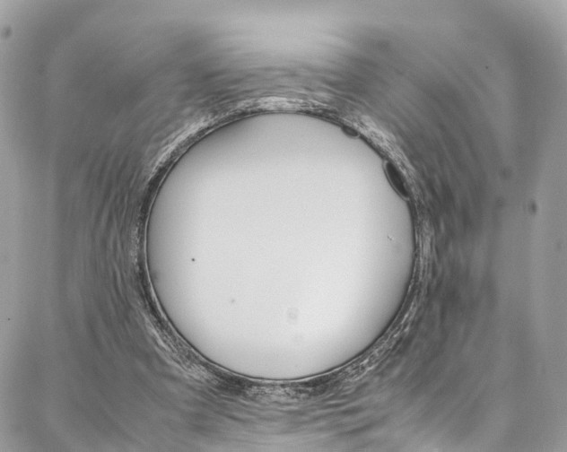 X0000086890297200704161013