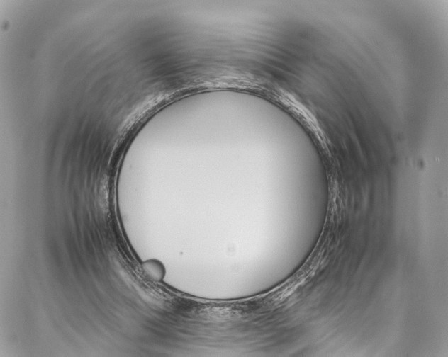 X0000086890298200704161013