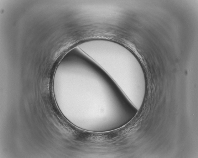 X0000086890299200704161013