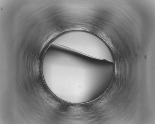 X0000086890300200704161013