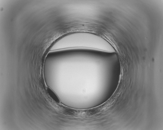 X0000086890301200704161013