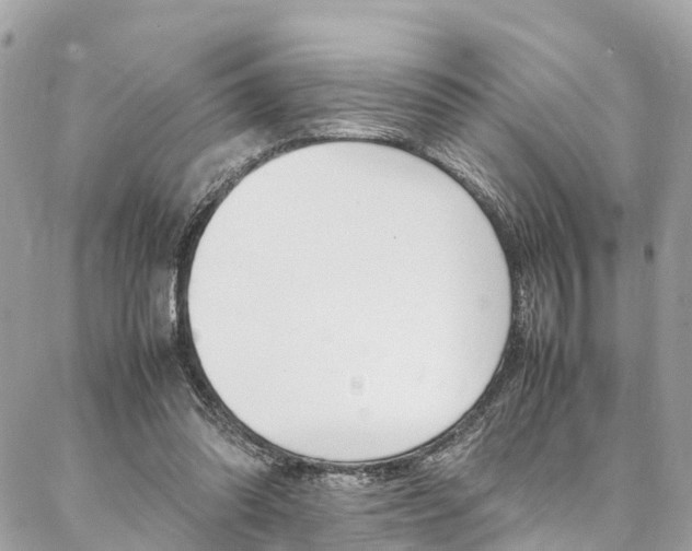 X0000086890302200704161013