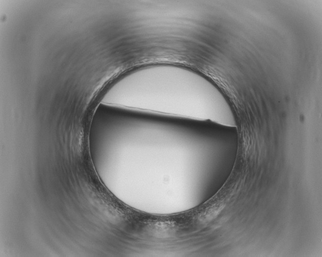 X0000086890304200704161012