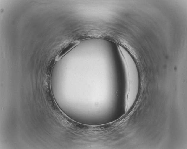 X0000086890305200704161012