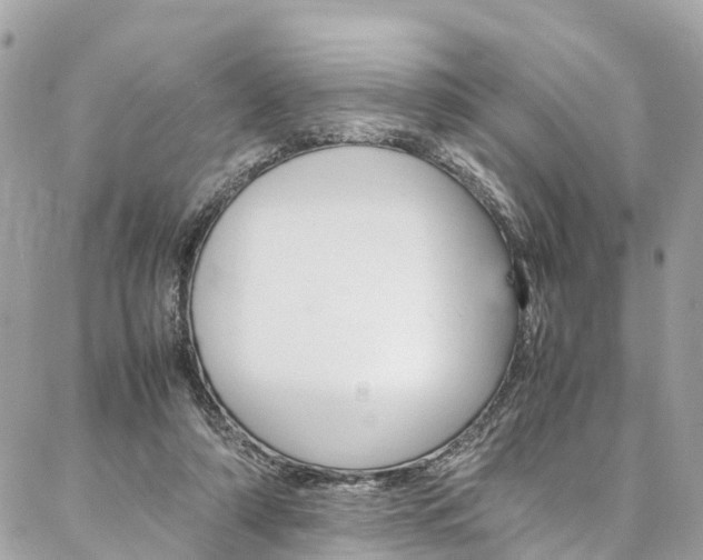 X0000086890306200704161012