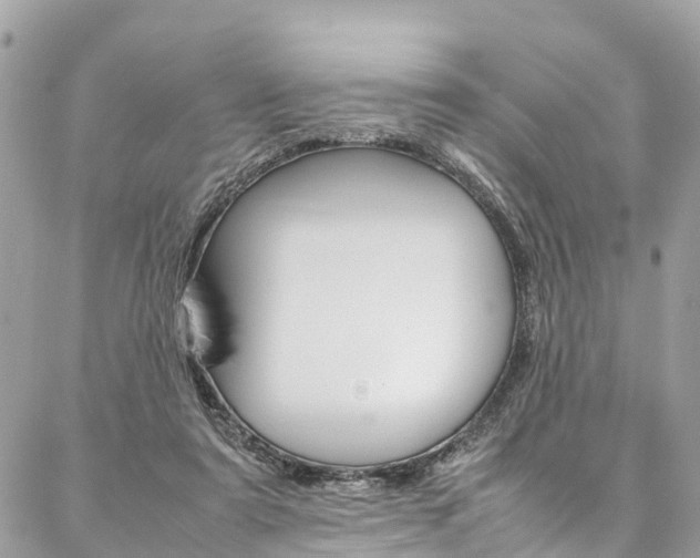 X0000086890307200704161012