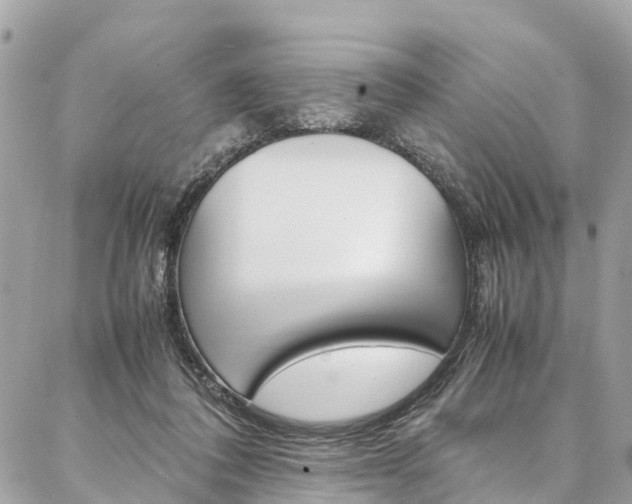 X0000086890308200704161012