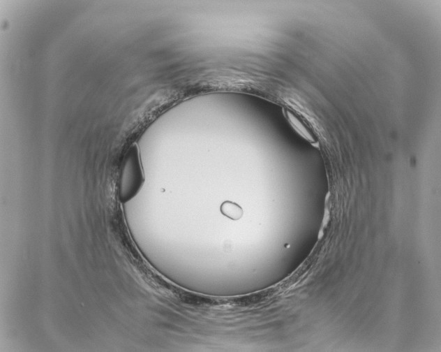 X0000086890309200704161012