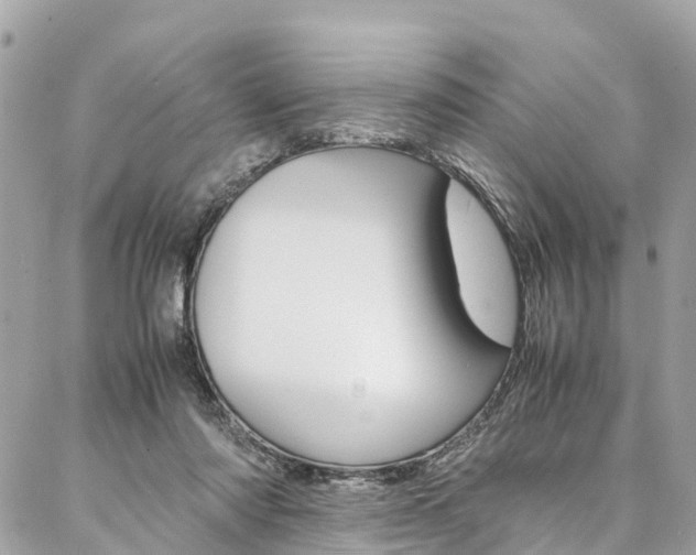 X0000086890310200704161012