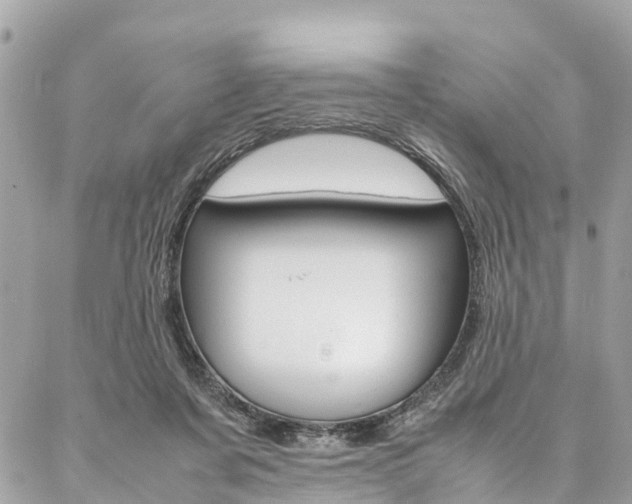 X0000086890311200704161012