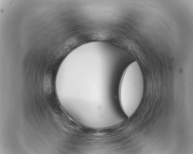 X0000086890312200704161012