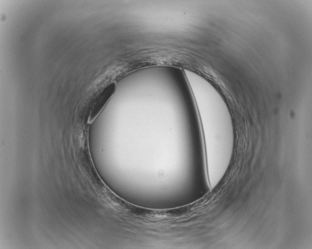 X0000086890313200704161012