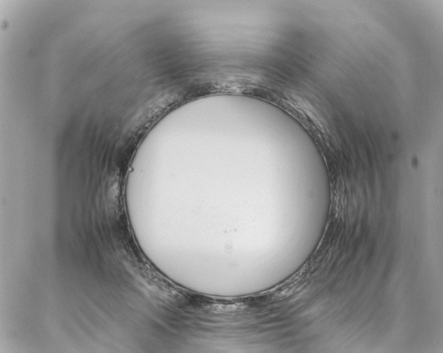 X0000086890314200704161012