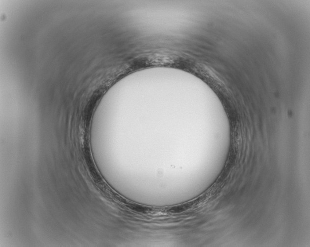 X0000086890315200704161012